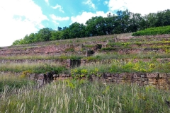 Bild10_Trockenmauer am Satzenberg